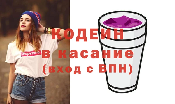 2c-b Бородино