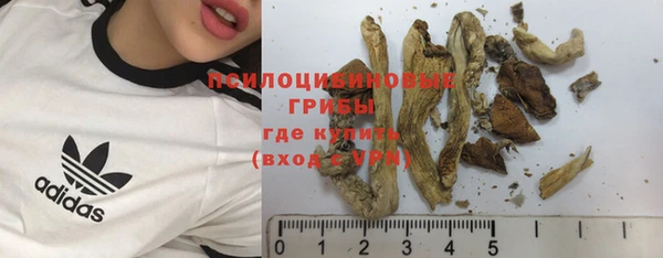 МДПВ Верхний Тагил
