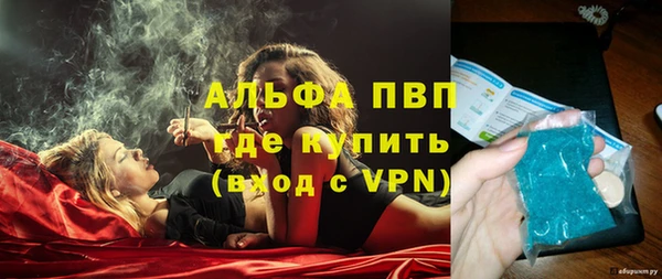 сатива Бронницы