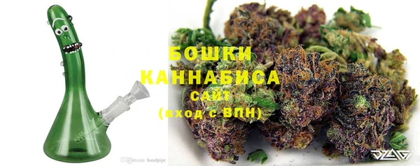 МДПВ Верхний Тагил