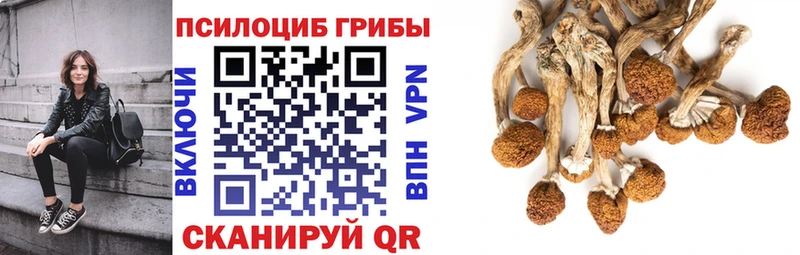 Псилоцибиновые грибы ЛСД  Весьегонск 